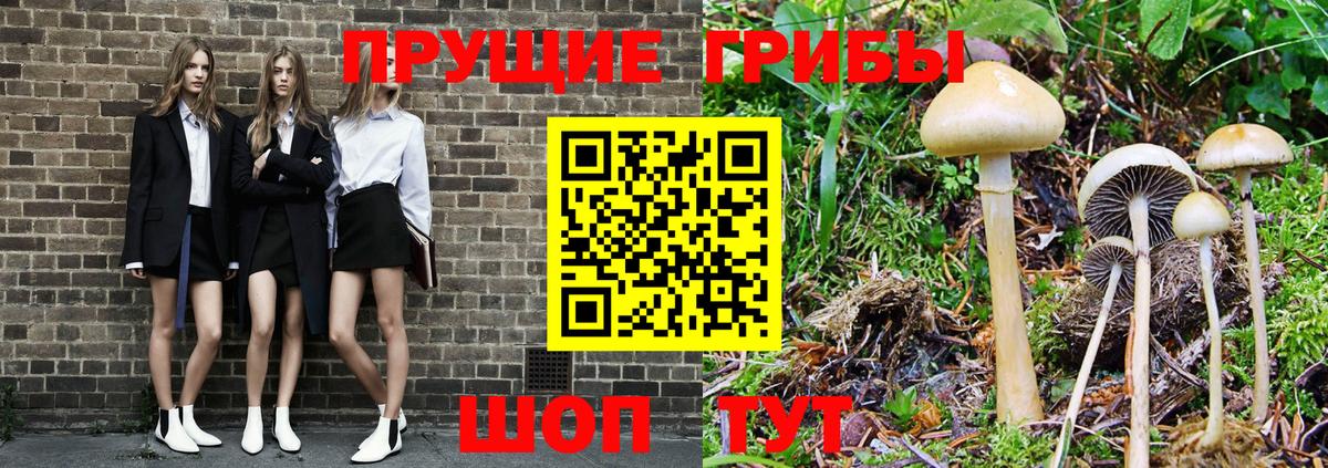 Псилоцибиновые грибы MAGIC MUSHROOMS Советский