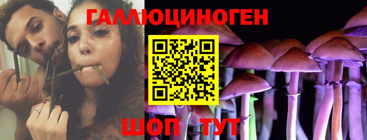 Галлюциногенные грибы MAGIC MUSHROOMS  Вход с VPN  Галлюциногенные грибы Magic Shrooms  где купить наркоту  Советский 